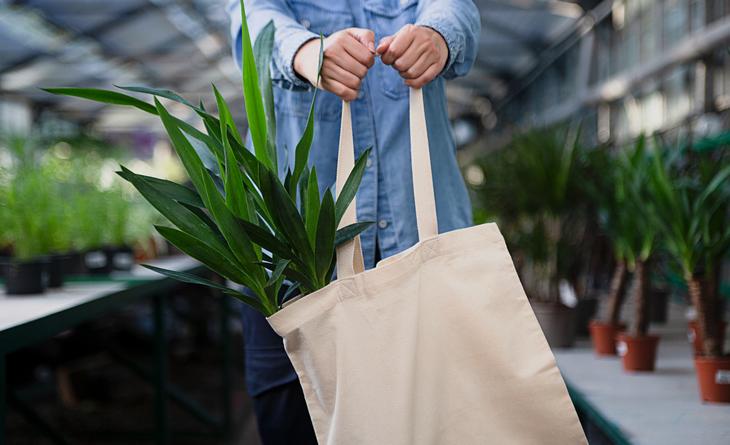 Pessoa estendendo uma sacola reutilizável com planta dentro.
