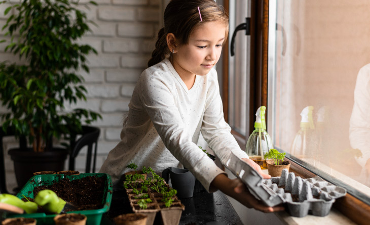 Criança fazendo uma horta na embalagem do ovo e a colocando na janela.