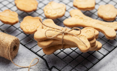 Biscoitos de cachorro em formato de ossinhos amarrados em laço.
