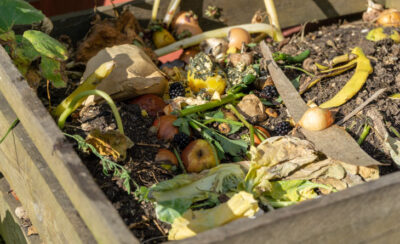 alimentos, cascas e talos demonstrando como fazer compostagem doméstica