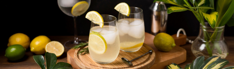 Copos com drinks de gin.